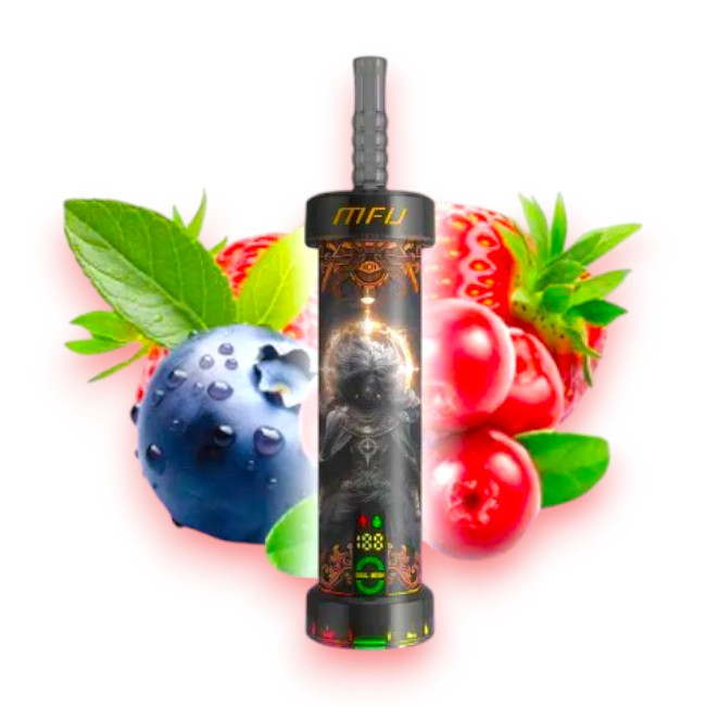 MFU SHISHA X1 40000 0.5% - LOVE 66