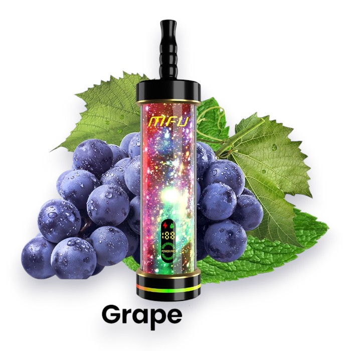 MFU SHISHA X2 60000 0.5% - GRAPE MINT
