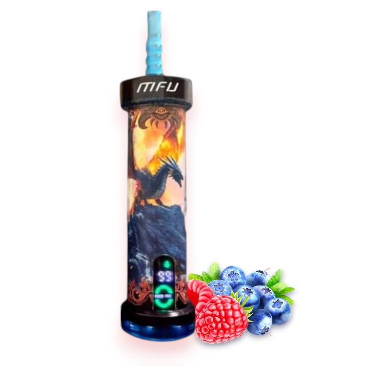MFU SHISHA X2 60000 0.5% - BLUEBERRY RASPBERRY