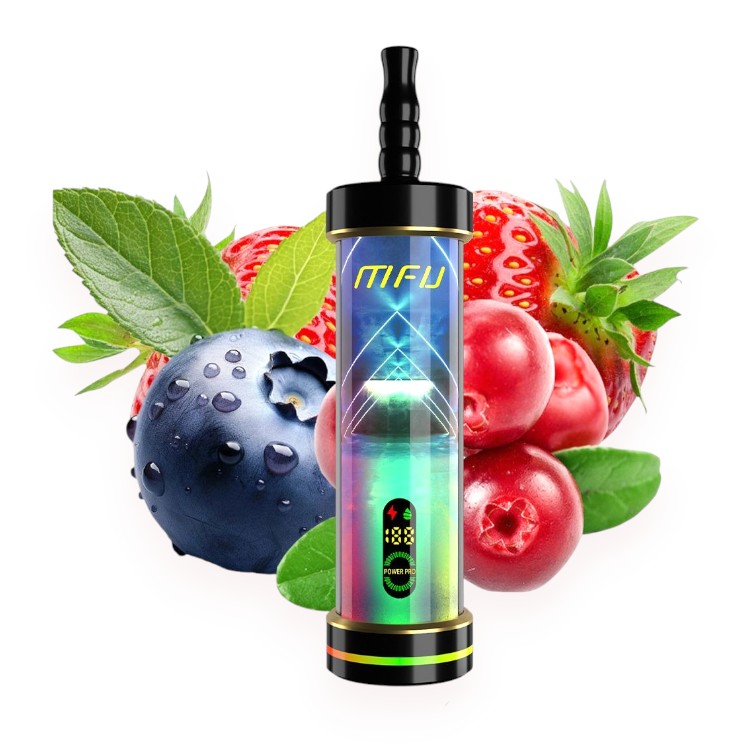 MFU SHISHA X2 60000 0.5% - LOVE 66