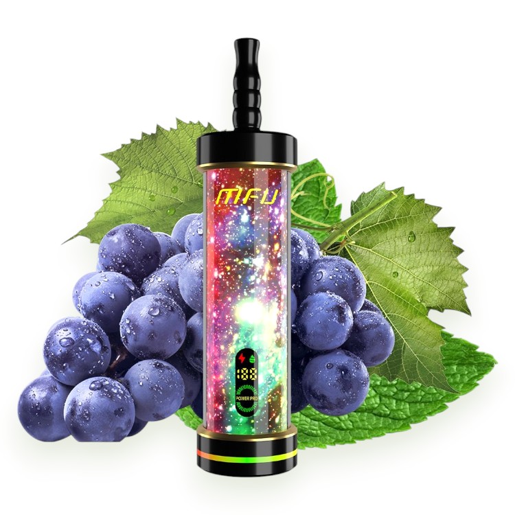 MFU SHISHA X2 60000 0.5% - GRAPE MINT