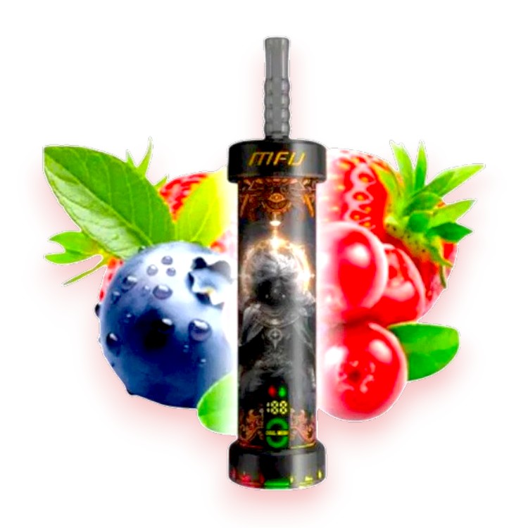 MFU SHISHA X1 40000 0.5% - LOVE 66
