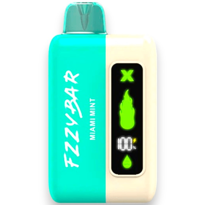 FZZYBAR X20000 SALT 5% - MIAMI MINT