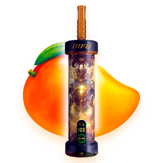 MFU SHISHA X1 40000 0.5% - MANGO
